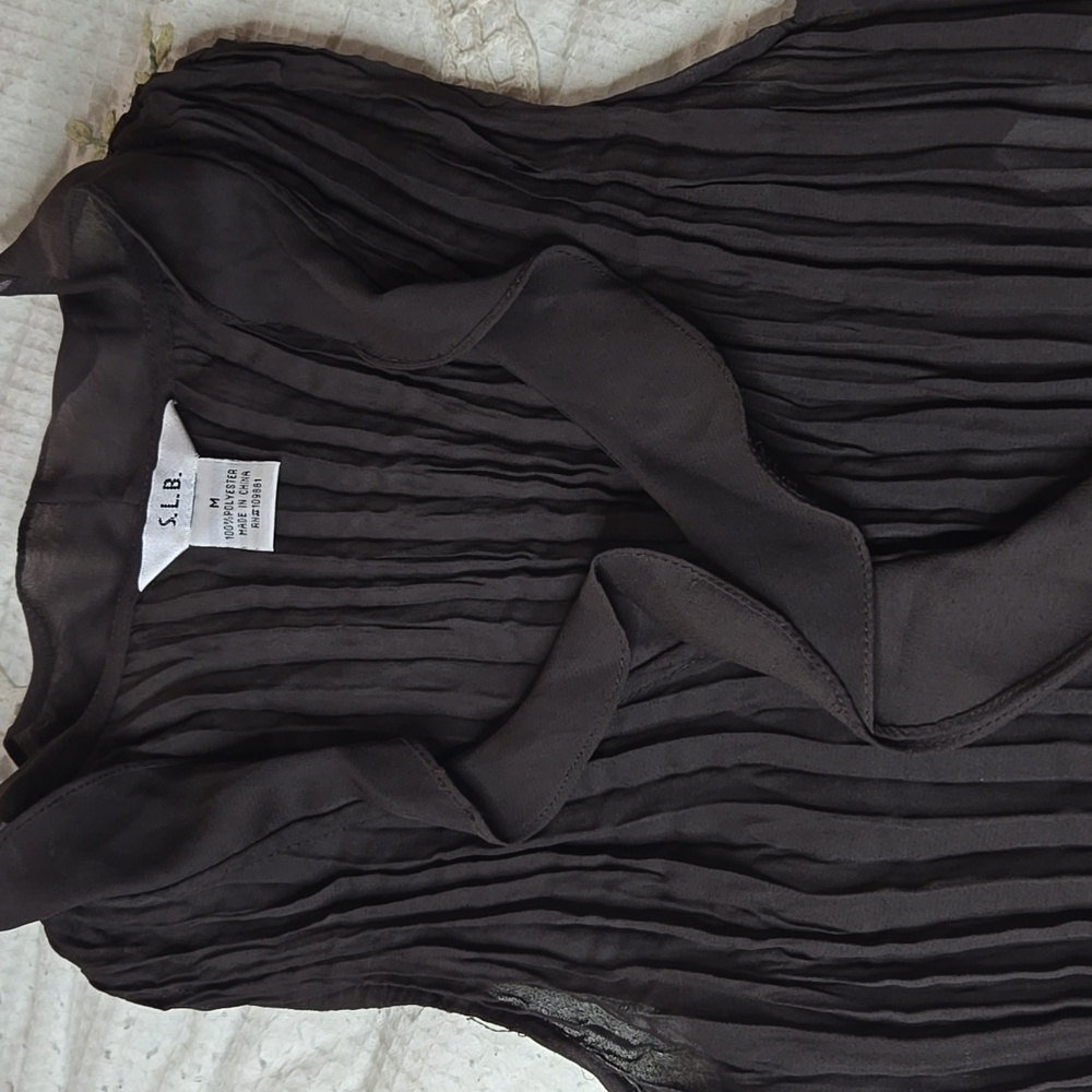 S.L.B. Brown Ruffle Sheer Blouse
